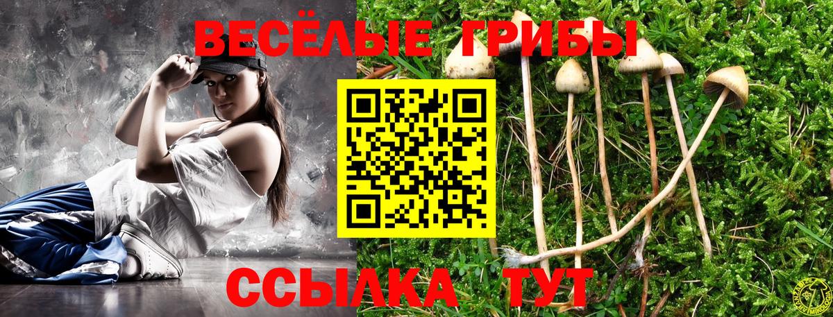 Псилоцибиновые грибы Magic Shrooms Коркино